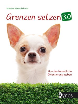 cover image of Grenzen setzen 3.0
